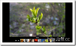 flashgallery